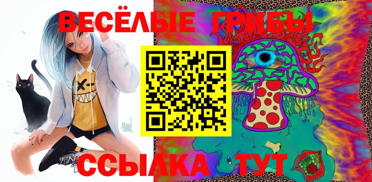 Псилоцибиновые грибы Psilocybe Гусь-Хрустальный
