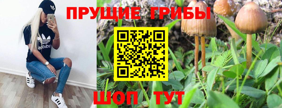 Галлюциногенные грибы прущие грибы  Вход с VPN  Гусь-Хрустальный  Галлюциногенные грибы мухоморы 